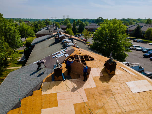 Roof Repair Estimates in Mclendon Chisholm, TX