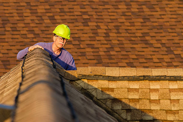 Best Roof Inspection Near Me  in Mclendon Chisholm, TX